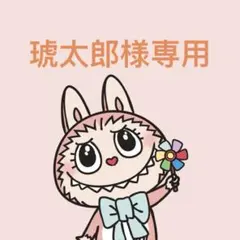 琥太郎様 リクエスト 2点 まとめ商品