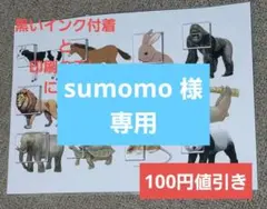 sumomo様 リクエスト 2点 まとめ商品