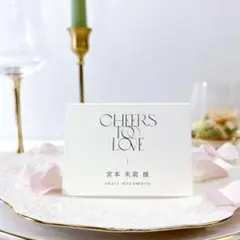 ˗ˏˋ NEW ˎˊ˗　席札_22　ウェディング　結婚式　席札