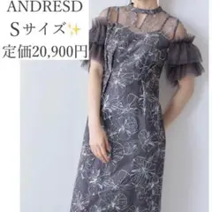 定価2万円✨️ANDRESD キーネックエンブロイダリードレス S