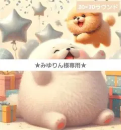 みゆりん様 リクエスト 2点 まとめ商品