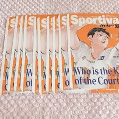 ハイキュー　ビジュアルボード　影山飛雄　②