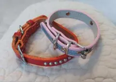 犬用首輪　Ｓサイズ　2点セット