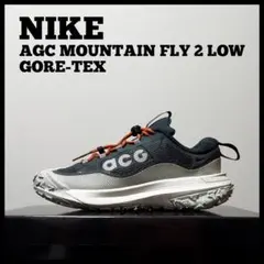 NIKE ナイキ ACG マウンテンフライ2 ロー GTX メンズ　25.5cm