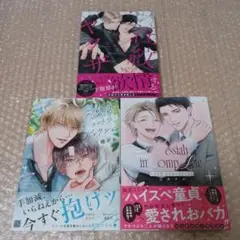 新刊BLコミック3冊セット(市花マツビ先生・幾がお先生・三角すみ先生)