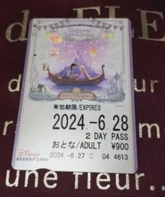 東京ディズニーリゾート　ファンタジースプリングス ラプンツェル リゾートライン