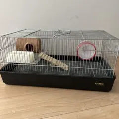 Item thumbnail for item 398cce0f-9aa6-42e1-bf1b-15076e3cb271