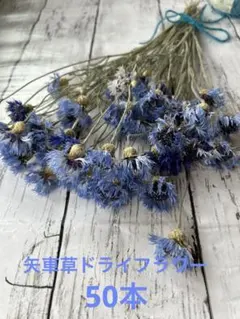 ひじき様 リクエスト 2点 まとめ商品