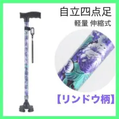 Item thumbnail for item 672f16bd-787e-4c18-9458-cd34b084388d