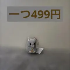 チンチラのララちゃんもぐもぐ