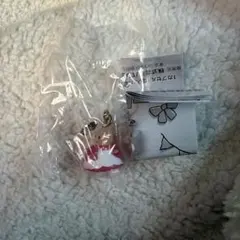 サンリオキャラクターズ ゆるっとめじるしアクセサリー　マロンクリーム