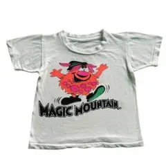 米国製 Magic Mountain ヴィンテージ リンガーTシャツ - メルカリ