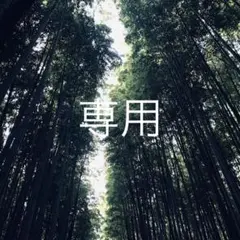 PUMA 長袖Tシャツ トレーニングウェア