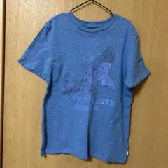 GAP サメデザイン Tシャツ 青　kids Mサイズ