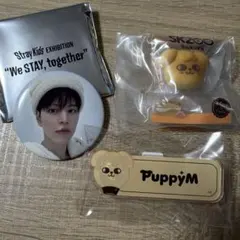 Stray Kids スンミン 缶バッジ Puppym セット