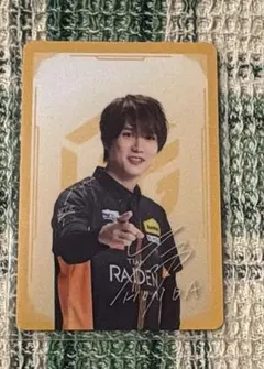 2026年最新】team雷電の人気アイテム - メルカリ