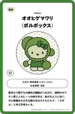 大阪・関西万博　日本館　 藻キティ　ピンバッジ　オオヒゲマワリ（ボルボックス）