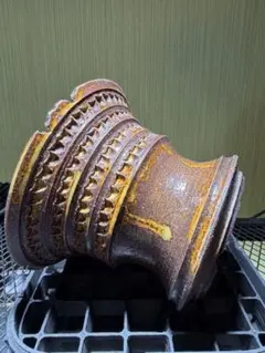 ako様 シャクヤク　マダムクロードダン　7号鉢　蕾付き　大苗×2鉢 ako様 シャクヤク マダムクロードダン 7号鉢 蕾付き 大苗×2鉢 - メルカリ