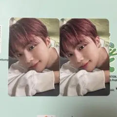 ゴヌク 封入 トレカ