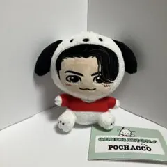 藤原樹 ぬいぐるみ THE RAMPAGE×ポチャッコ ミニぬいぐるみ Ver.4 藤原樹 ② - メルカリ