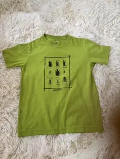 mont-bell 昆虫プリント Tシャツ グリーン