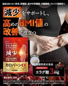 カロバーンEX 60粒 機能性表示食品 エラグ酸 ダイエットサプリ 体重 体脂肪のサムネイル