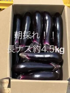 長ナス5kg！朝採れ！！農家直送！！！ - メルカリ