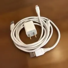 Apple USB充電ケーブルとACアダプタ