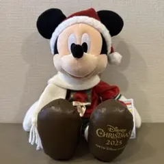 ミッキーミニーぬいぐるみ