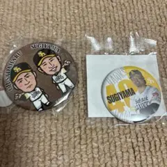 福岡ソフトバンクホークス 若鷹ガチャ 王貞治 津森宥紀 アクリル