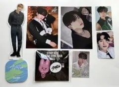 スキズ　チャンビン