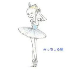 みっちょる様 リクエスト 3点 まとめ商品