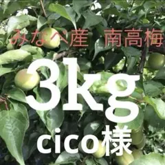 和歌山県紀南産 完熟南高梅5㎏ 秀品3L〜4L - メルカリ