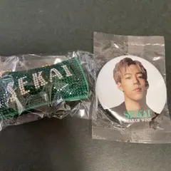 EXILE 世界セット SOWガチャ