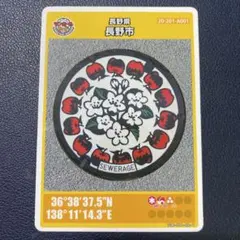 初期ロット 001 マンホールカード 標津町 北海道 第29弾 - メルカリ