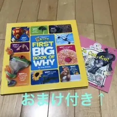 Kaede まとめ売り可　バラ売り可様 リクエスト 2点 まとめ商品