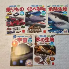 小学校の図鑑 NEO 5冊セット