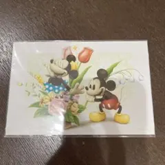 東京ディズニーリゾート ポストカード ミッキー ミニー