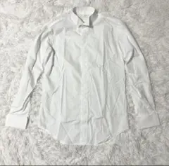 THE TREAT DRESSING ウィングカラーシャツ L ホワイト