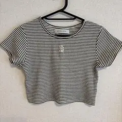 SPIRALGIRL ボーダー柄 クロップドTシャツ　チビT ストレッチのサムネイル
