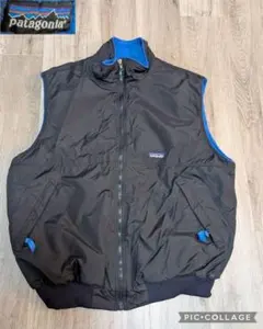 2025年最新】パタゴニア シェルドシンチラ ベストの人気アイテム