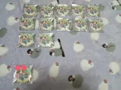 うらたぬき Update 缶バッジ