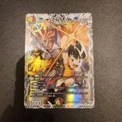 2026年最新】ボルシャックドラゴン スリーブの人気アイテム - メルカリ