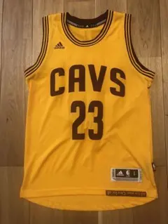 Item thumbnail for item 5d186bbe-4350-4cff-a15b-f05bb24d91fb