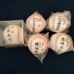 高校野球100回記念大会 金足農業対大阪桐蔭 決勝戦記念野球ボール