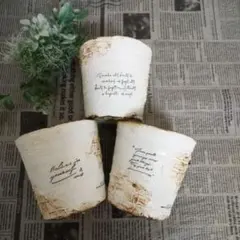 2026年最新】プラ鉢 リメイクの人気アイテム - メルカリ