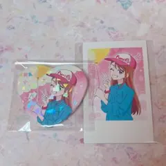 2025年最新】聖あげは 缶バッジの人気アイテム - メルカリ