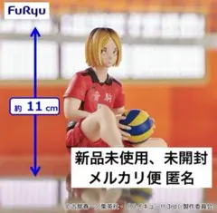 ハイキュー 孤爪研磨 ぬーどるストッパー フィギュア 音駒 ゴミ捨て場 烏野