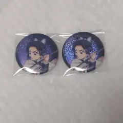 鬼滅の刃 劇場版 無限城編 胡蝶しのぶ 缶バッジ