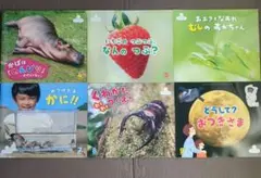 サンチャイルド・ビッグサイエンス 2023年度 12冊